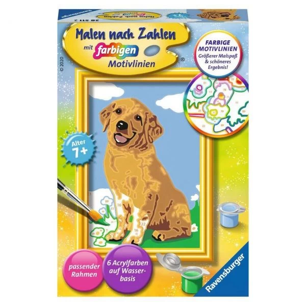RAVENSBURGER 28511 - Malen Nach Zahlen - Kleiner Golden Retriever