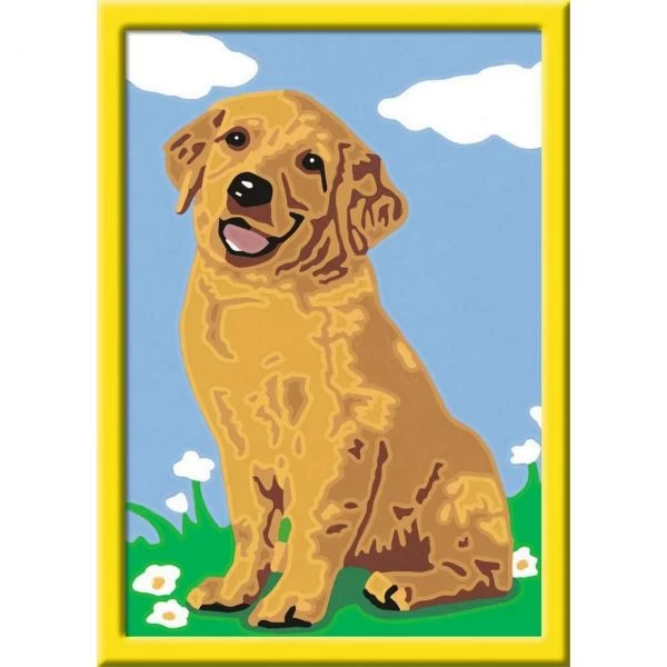 RAVENSBURGER 28511 - Malen Nach Zahlen - Kleiner Golden Retriever â Bild 2