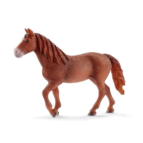 SCHLEICH 13870 - Horse Club - Morgan Horse Stute