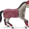 SCHLEICH 42456 - Horse Club - Trakehner Stute Reitturnier