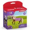 SCHLEICH 42468 - Horse Club - Paso Fino Hengst Pferdeshow